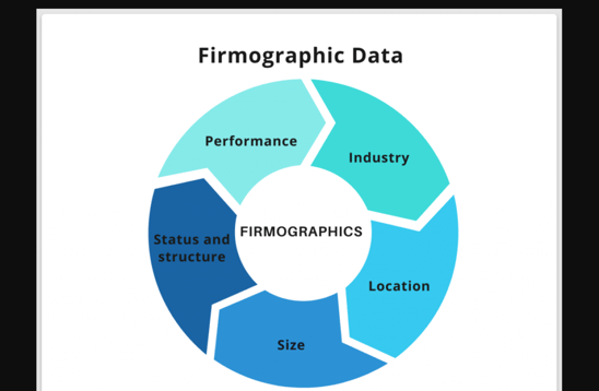 firmographic data